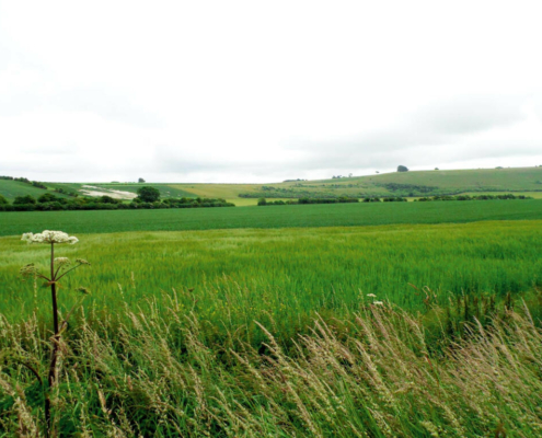 Residential Park Homes for sale at Heath Farm, Salisbury, Wiltshire